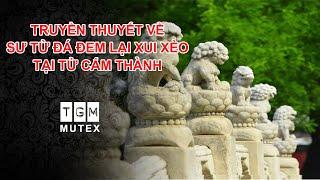 TRUYỀN THUYẾT VỀ SƯ TỬ ĐÁ ĐEM LẠI XUI XẺO TẠI TỬ CẤM THÀNH