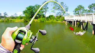 Fishing for GIANT Bass w Swimbaits in SMALL Ponds Bed Fishing