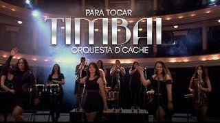 Orquesta Femenina DCache - Para Tocar Timbal Video Oficial  Salsa Para Bailar