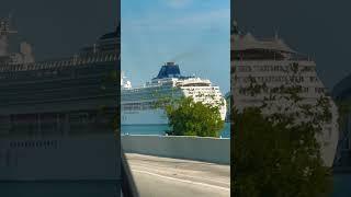 Giant Cruise Ships ️ in Miami Harbor #shorts