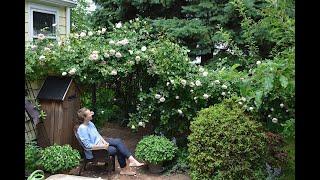 Happy Nooks and Crannies in Olgas ROSE Garden.  Garden WALK around