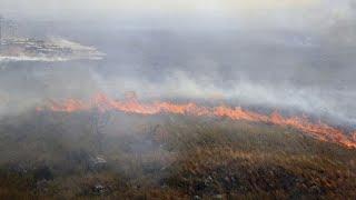 Sicilia devastata dagli incendi 2 vittime