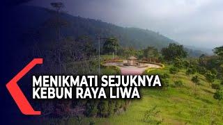 Menikmati Sejuknya Kebun Raya Liwa di Lampung Barat