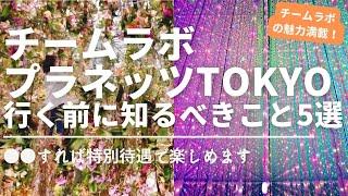 チームラボ プラネッツTOKYO 行く前に知っておくべき5選 え？VIP待遇で楽しめちゃうの?【豊洲】