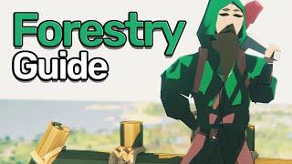 OSRS Forestry Guide Updated 🪓 All Forestry Events & Training Spots