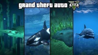 GTA 5 - Play as a Fish Shark Dolphin Orca Stingray & more PS4 & Xbox One