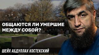 Общаются ли умершие между собой?