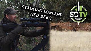 Shooting & Country TV  Deer management with Chris Rogers 5  Lowland red deer management