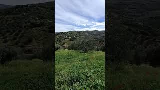 Beautiful Andalucían countryside #shorts #Andalucia #europeantravel