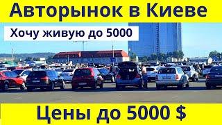 Авторынок Киева Цены на авто до 5000 USD. Автобазар в Киеве. Ищем недорогую  Ноябрь 2020