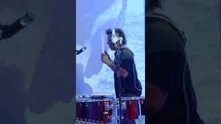 Drumming with Sharks 