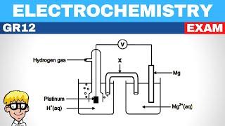 Electrochemistry grade 12 Exam Questions