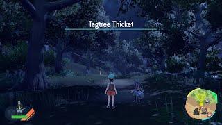 Pokémon Scarlet - 123 - Tagtree Thicket 12 Exploration