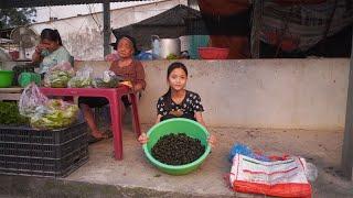 Picking up copper snails to sell in the market - Poor girl in everyday life.