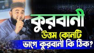 উত্তম কুরবানী কোনটি ? Mustafiz Rahmani  মুস্তাফিজ রহমানী New Waz Mahfil 2024