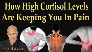 How High Cortisol Levels are Keeping You in Pain - Dr Mandell