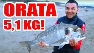 ORATA 51 KG SurfCasting TV