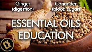 Ginger for Digestion & Coriander for Blood Sugar  ESSENTIAL OILS EDUCATION