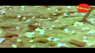 Ee neelima than chaaruthayil  Malayalam Movie Songs  Aa Raathri 1982