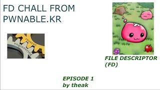 file descriptor fd from pwnable.kr  espisode-1