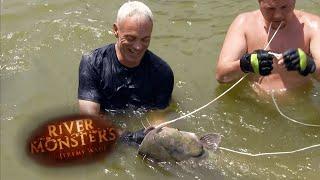 Using Bare Hands To Catch A Catfish  CATFISH  River Monsters