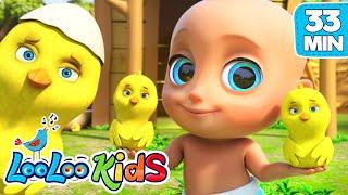 Educational Kindergarten Songs  LooLoo KIDS