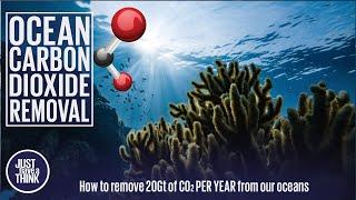 Carbon Dioxide Removal from our oceans. Can we achieve 20 BILLION tonnes per year?