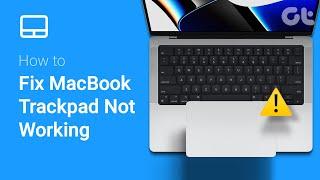 How to Fix MacBook Trackpad Not Working  MacBook Trackpad Not Responding?  Touchpad Error?