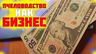 Пчеловодство как бизнес. Бизнес в селе. Информационная поддержка пасеки в Ютуб. Часть 1 начало