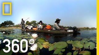 Visit the Okavango Delta in 360°  National Geographic