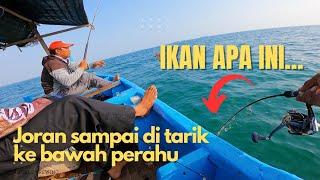 Gokil... Rumpon Pinggiran yang Ikannya gak Kalah dengan Rumpon Tengah Laut