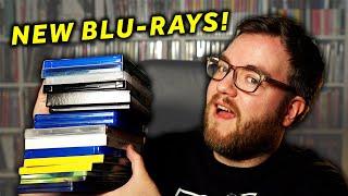 Huge Blu-ray Collection Update - Physical Media is THRIVING