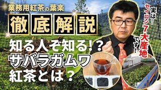 【セイロン7大紅茶】サバラガムワ徹底解説！知る人ぞ知るセイロン紅茶の秘密【スリランカ】