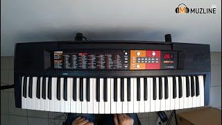 Синтезатор YAMAHA PSR-F51 10 простых мелодийпростые мелодииSimple melodies