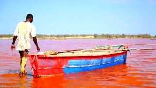 Lake Retba Pink Lake Senegal. _Documentary