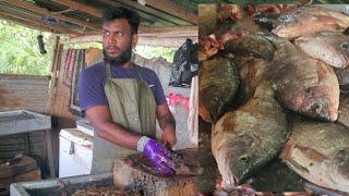 Amazing Best Rural Villages Beautiful Street Fish Markets in Sri Lanka