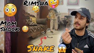 Mama Or Rimsha K Sath Snake Prank 