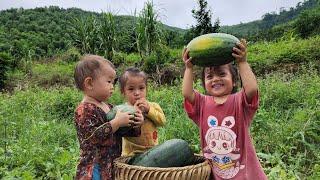 Giang Thi Ty 20 days of the difficult life of four single mothers and children