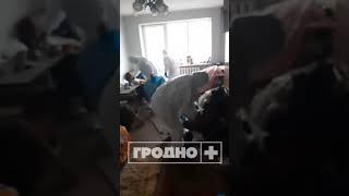 ️Жительница Гродно превратила свою квартиру в свалку