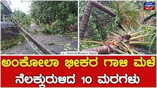 Rain Effect  ಅಂಕೋಲಾ ಭೀಕರ ಗಾಳಿ ಮಳೆ ನೆಲಕ್ಕುರುಳಿದ 1೦ ಮರಗಳು  Uttara Kannada