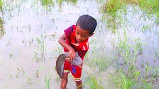 OMG Little Boy Catching Big Catfish In The Mud Water Hand Fishing For Catfish