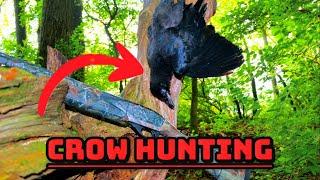 CROW HUNTING  BASIC GEAR { WHAT YOU NEED }