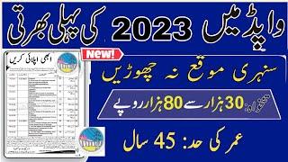 Wapda vacancy Jobs 2023  Government Pakistan New wapda jobs 20223 for Male Female  New Jobs 2023