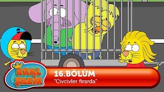 Kral Şakir 16. Bölüm - Civcivler Firarda