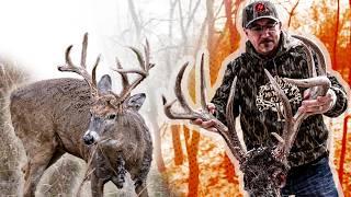 The Heart Breaking Story Of An Iowa Legend The Tall Brow 8  Deer Season 24