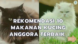 Rekomendasi 10 Makanan Kucing Anggora Terbaik