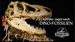 Auf der Jagd nach Dinosaurier-Fossilien  Paläontologie  Arte-Doku