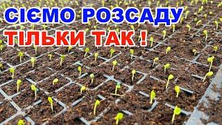 Як сіяти баклажани помідори  та перець в домашніх умовах ?