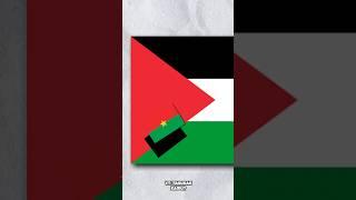 Bendera Tersembunyi di Bendera Palestina #shorts