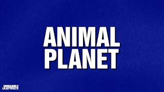 Animal Planet  Category  JEOPARDY